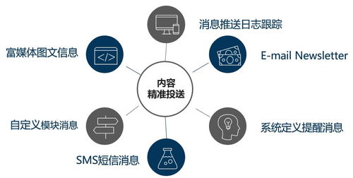 數(shù)據(jù)驅(qū)動(dòng)下的知識躍遷 出版企業(yè)大數(shù)據(jù)知識服務(wù)實(shí)踐路徑探析